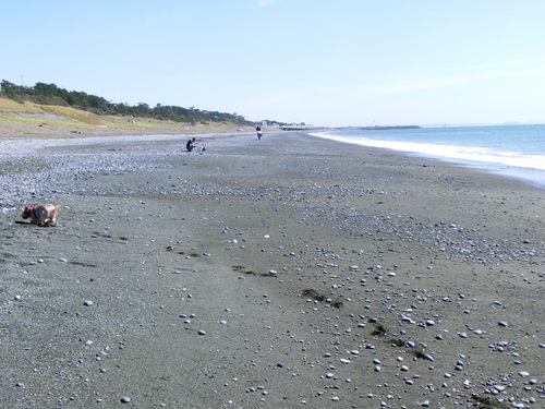 e0123587_1031371.jpg