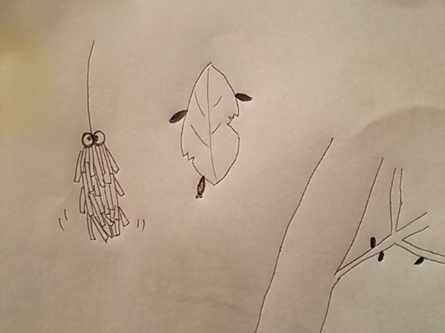c0204188_1752582.jpg