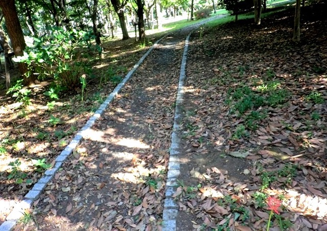 e0143690_728265.jpg