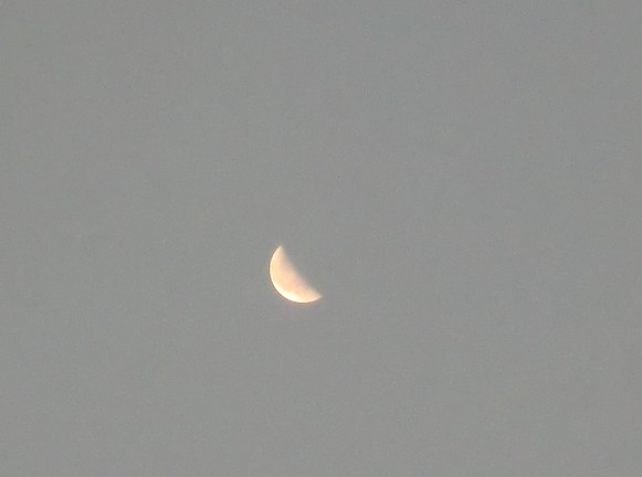 e0143690_7484628.jpg