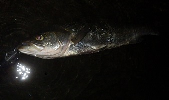 f0069890_23542829.jpg