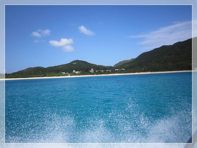 b0104592_114663.jpg