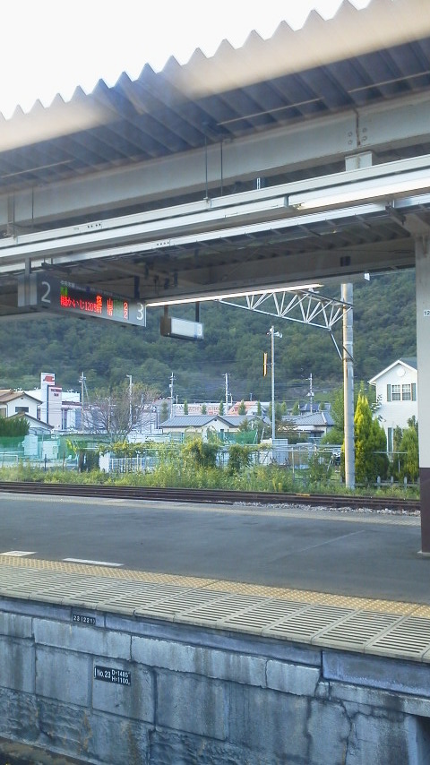 a0319693_1174168.jpg