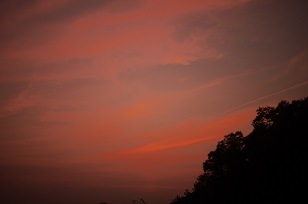 f0226293_8105050.jpg