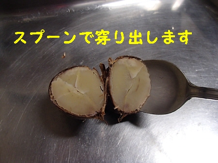 f0033598_2111625.jpg