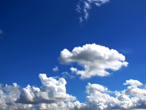 b0192199_8433283.jpg
