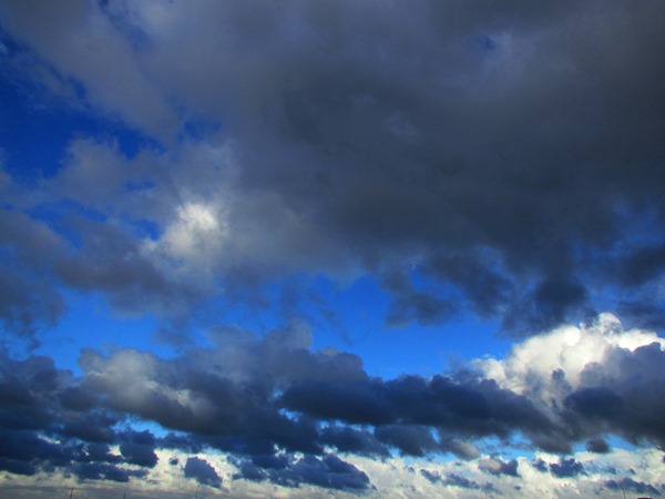 b0192199_8524239.jpg