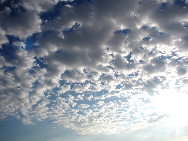 b0192199_91552.jpg