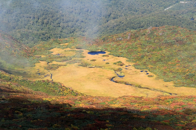 e0137200_20365027.jpg