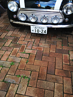 d0178602_1043782.jpg
