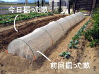 e0107304_13163645.jpg