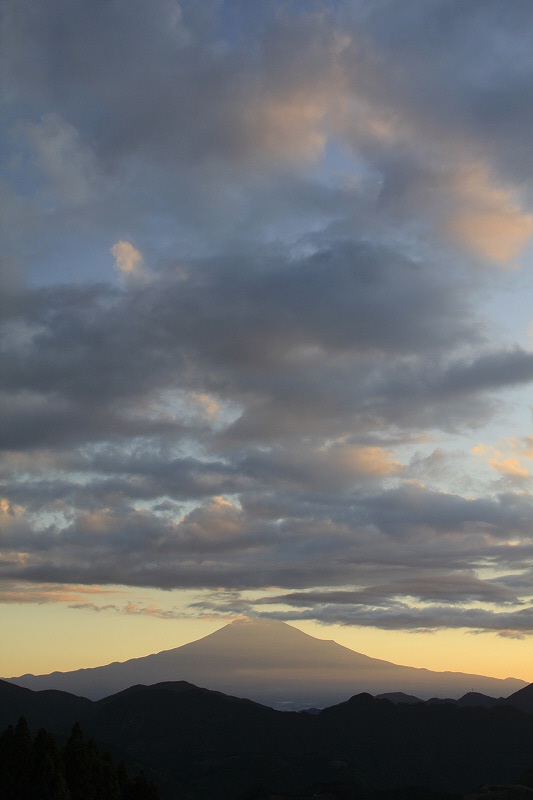 a0188405_16593425.jpg