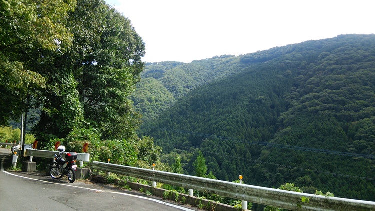 c0030607_1659058.jpg
