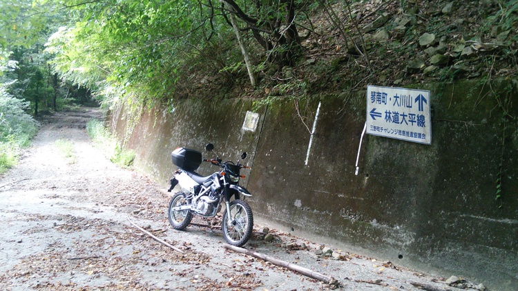 c0030607_179226.jpg
