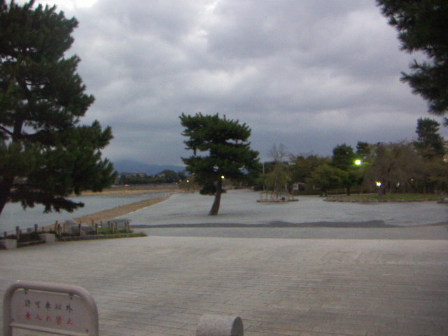 f0173908_1323441.jpg