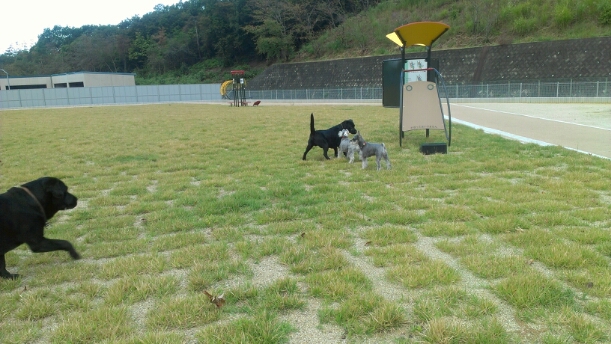 d0081210_17591647.jpg