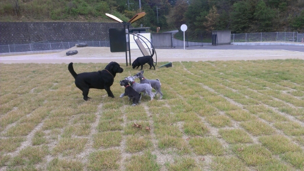 d0081210_1801576.jpg
