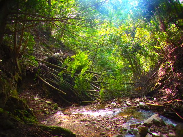 b0183911_23282628.jpg