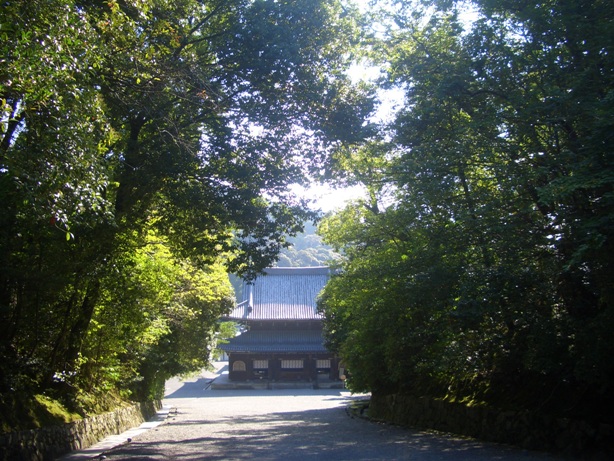 e0033713_8391510.jpg