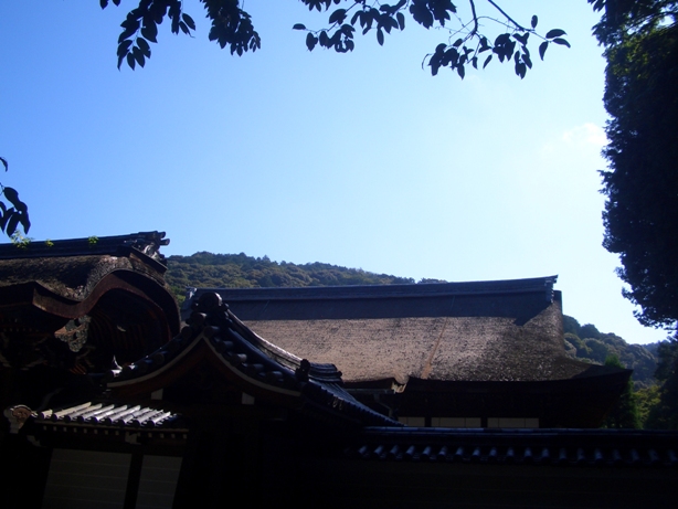 e0033713_8553586.jpg