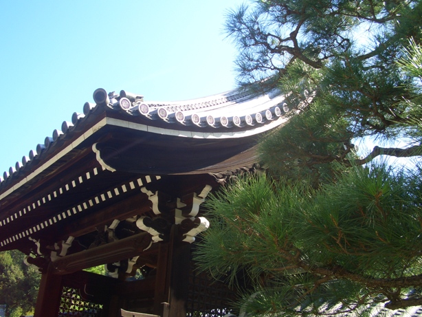 e0033713_8565194.jpg