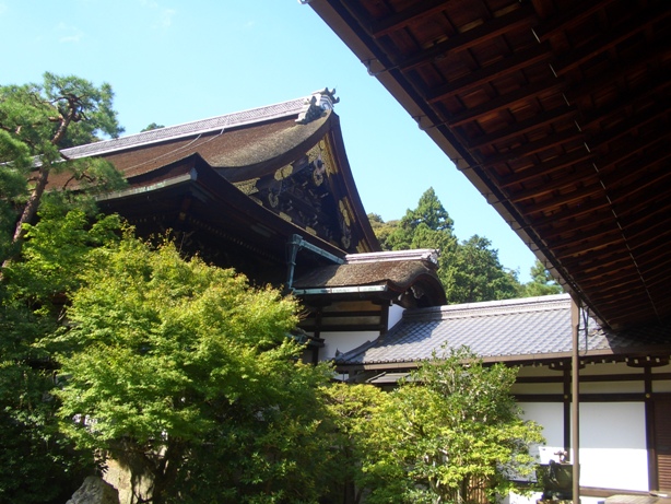 e0033713_905034.jpg
