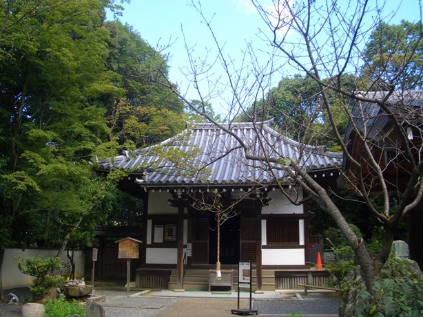 e0033713_97393.jpg