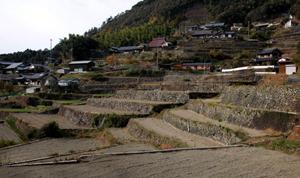 c0168815_4104542.jpg