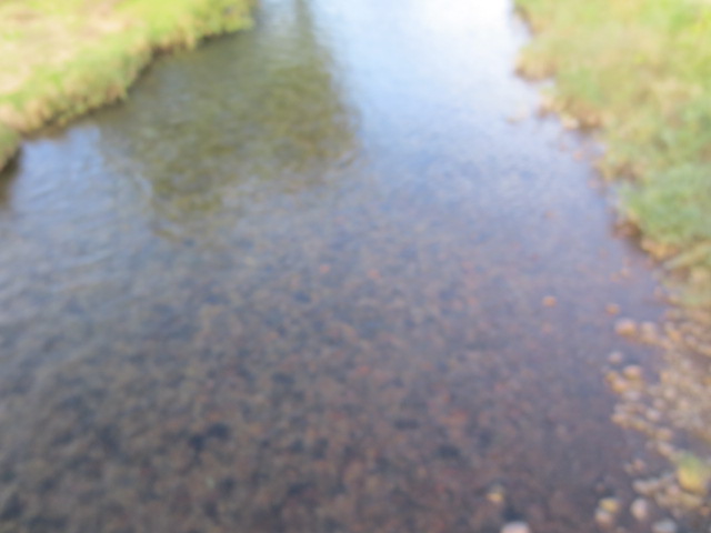 f0248616_1102924.jpg