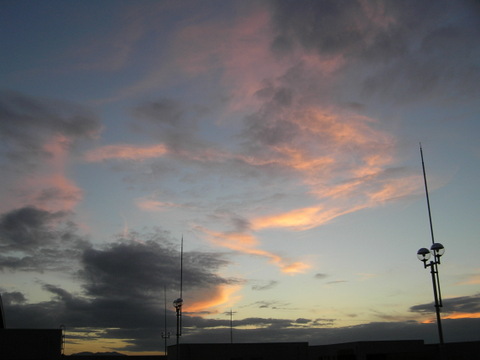 b0009118_015069.jpg
