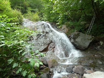 e0284019_1510390.jpg