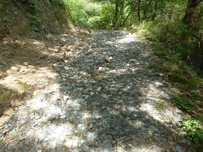 e0284019_1544466.jpg