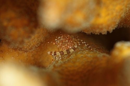 f0206424_10194241.jpg