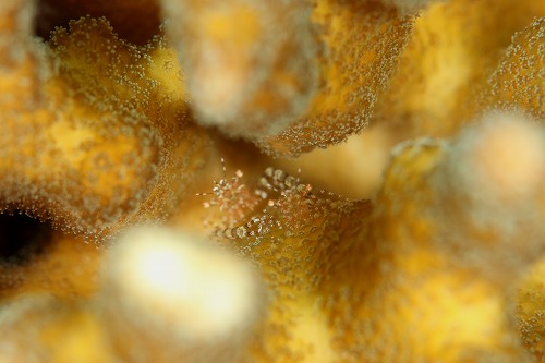f0206424_10233399.jpg
