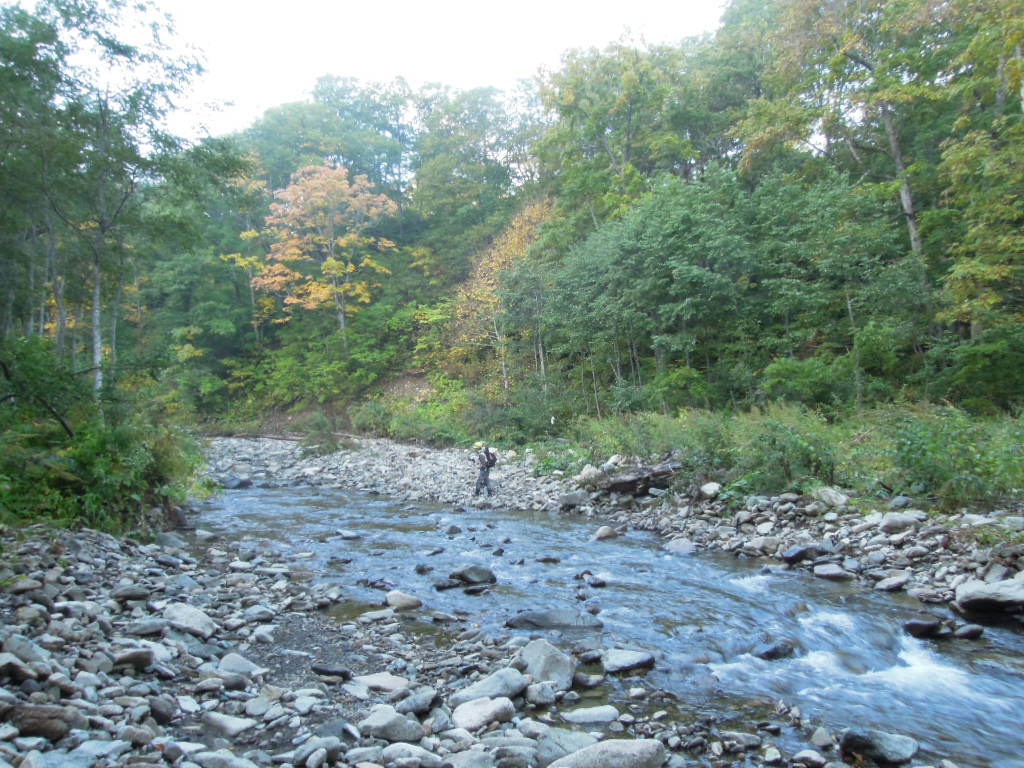 e0147226_0203100.jpg