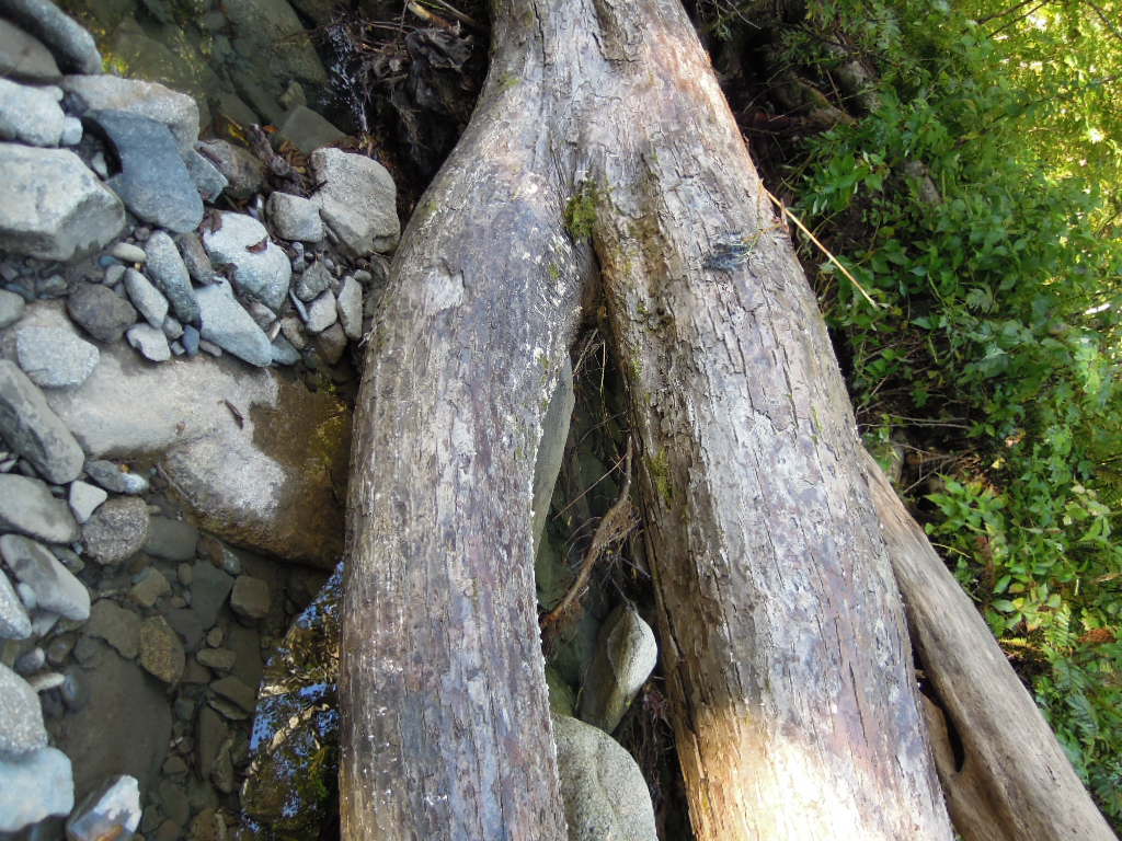 e0147226_0261919.jpg