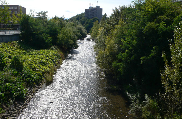 a0046429_20404871.jpg