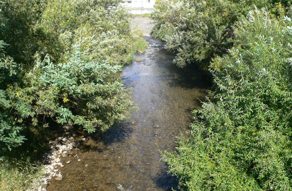 a0046429_2042526.jpg