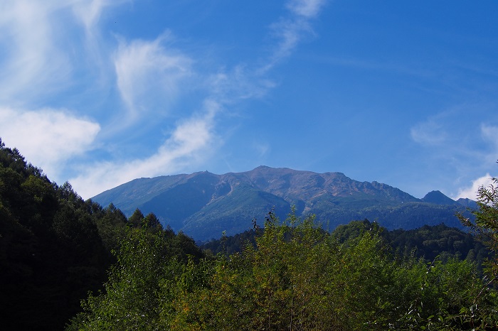 c0090530_20252535.jpg