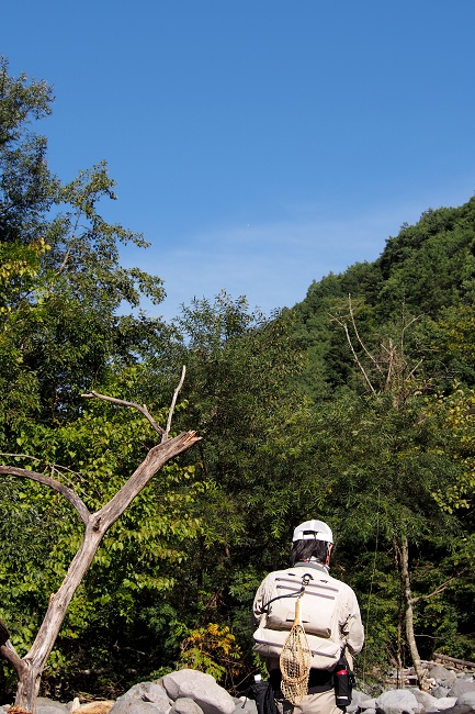 c0090530_2026176.jpg