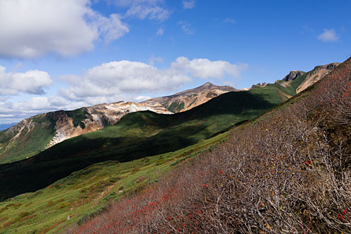 e0025030_8162860.jpg