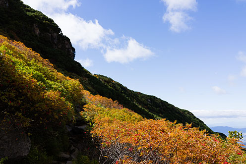 e0025030_8163153.jpg