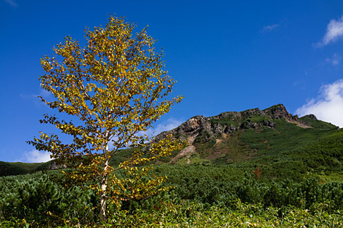 e0025030_8163683.jpg