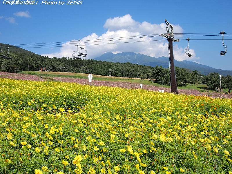 a0195032_7592847.jpg