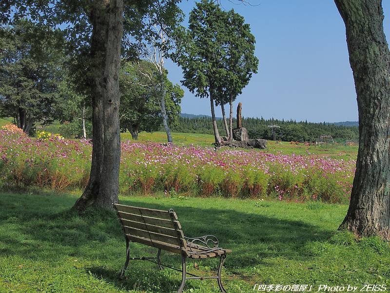 a0195032_83519.jpg