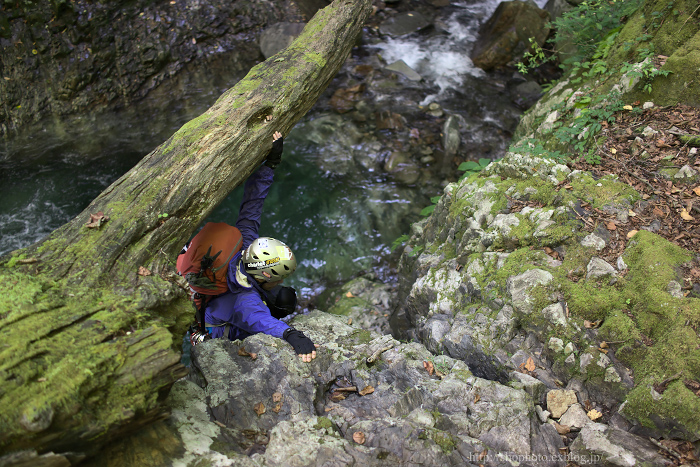 c0189533_23282580.jpg