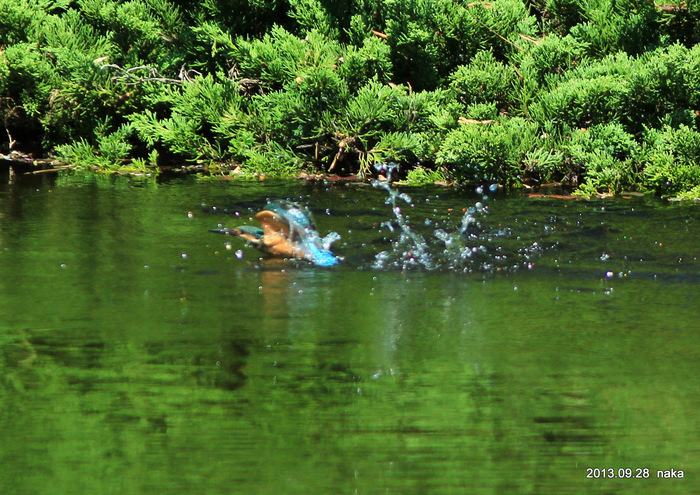 f0281533_1172014.jpg