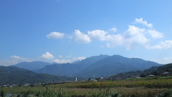 d0088735_2372042.jpg