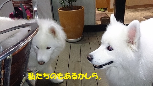 e0196135_20191023.jpg