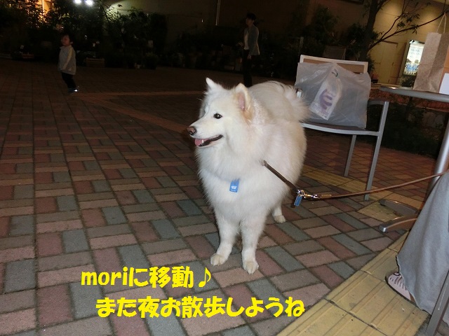 e0196135_20231181.jpg